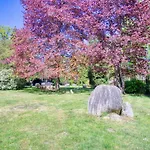 Tom Olen Stien - Heidjer Ferien Apartman Oldendorf (Luhe)