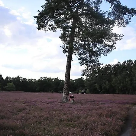 Apartamento Tom Olen Stien - Heidjer Ferien *