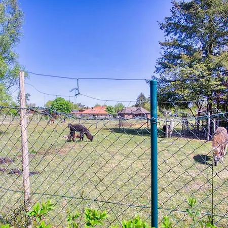 Tom Olen Stien - Heidjer Ferien
