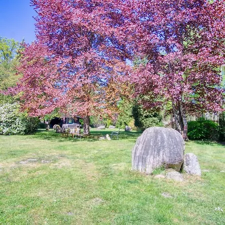 Tom Olen Stien - Heidjer Ferien Apartamento Oldendorf (Luhe)