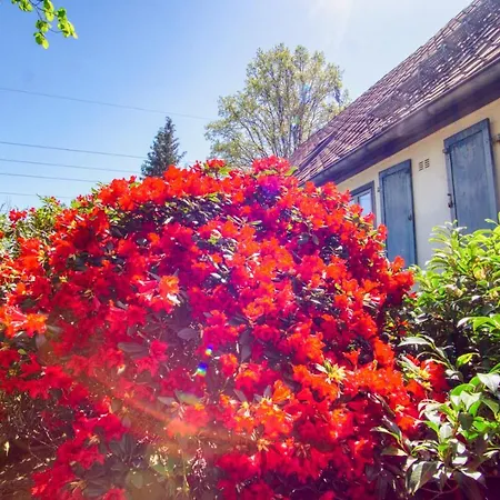 Tom Olen Stien - Heidjer Ferien Apartamento Oldendorf (Luhe)