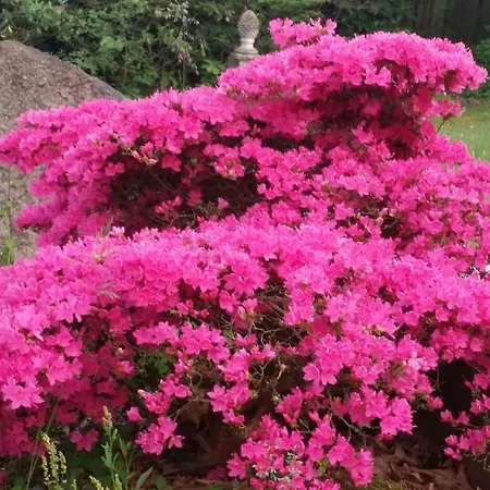 Apartamento Tom Olen Stien - Heidjer Ferien Oldendorf (Luhe)