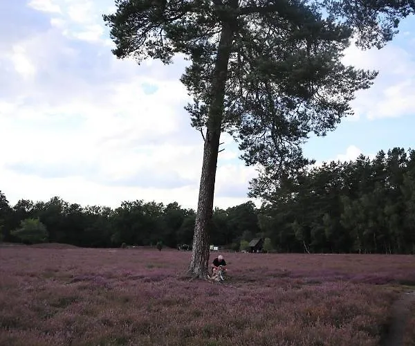 公寓 Tom Olen Stien - Heidjer Ferien *