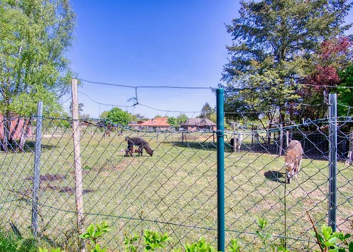 Tom Olen Stien - Heidjer Ferien