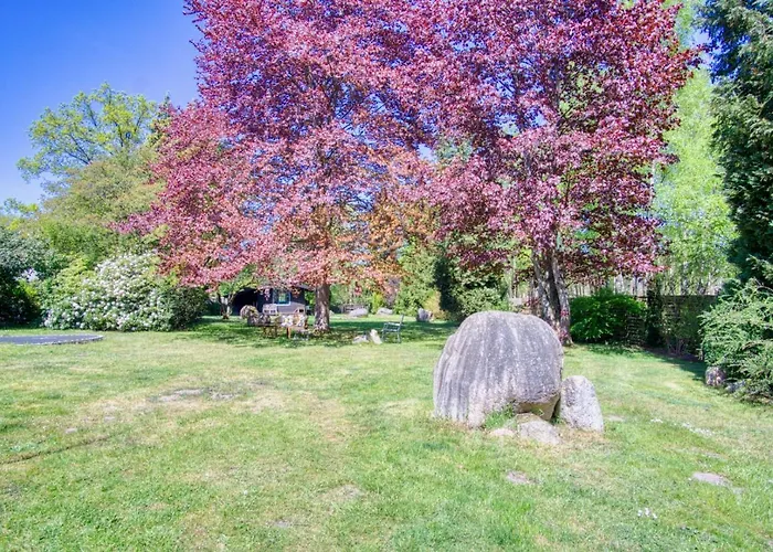 Tom Olen Stien - Heidjer Ferien 公寓 Oldendorf (Luhe)