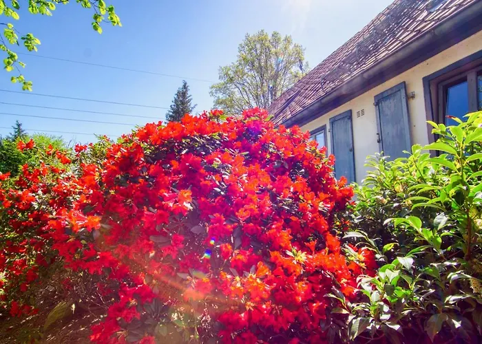 Tom Olen Stien - Heidjer Ferien Appartement Oldendorf (Luhe)