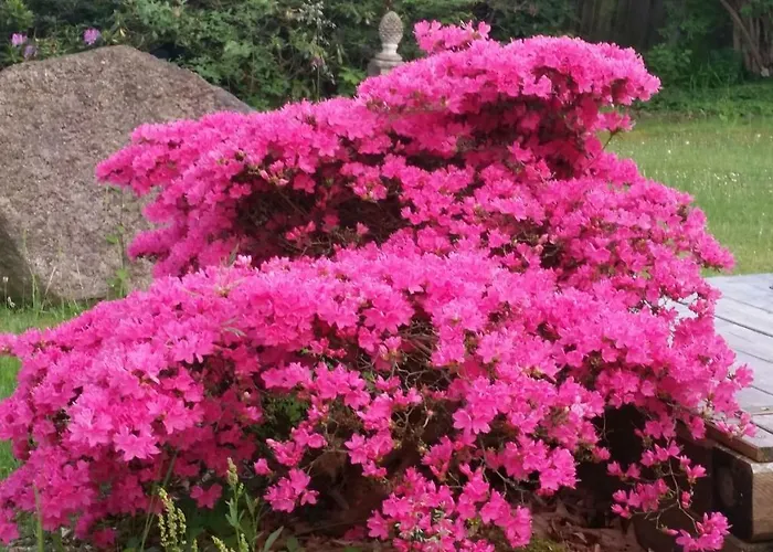 公寓 Tom Olen Stien - Heidjer Ferien Oldendorf (Luhe)